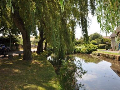 A river with trees along its bank and a motorcycle parked on a grassy area at Blueberry Cottage in Sutton Poyntz