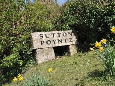 A stone sign with the text Sutton Poyntz surrounded by greenery and yellow flowers