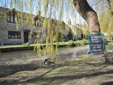 A river with a duck near a tree and stone cottages in the background at Blueberry Cottage in Sutton Poyntz