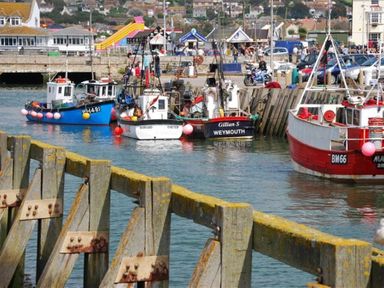 A harbor with several fishing boats docked near a wooden pier and buildings in the background at The Boardwalk in West Bay