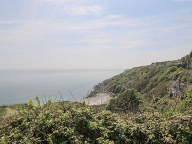 A coastal cliff with vegetation overlooking a rocky shoreline and calm sea at Bowman's Cottage in Wakeham Portland