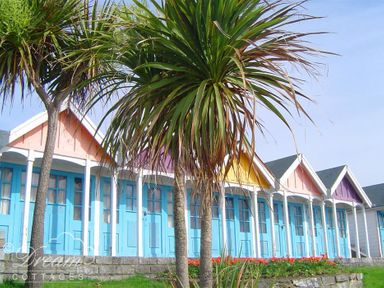 Row of small beach huts with colorful doors and gabled roofs with palm trees in front at Bridge Apartment in Weymouth