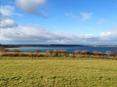 A grassy field with shrubs and a body of water under a partly cloudy sky at Coombe Orchard in Swanage