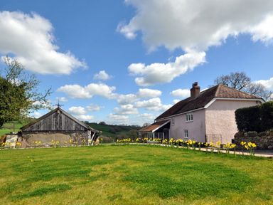 A garden with yellow flowers in front of a cottage and a wooden shed under a blue sky at Culverwells in Axminster