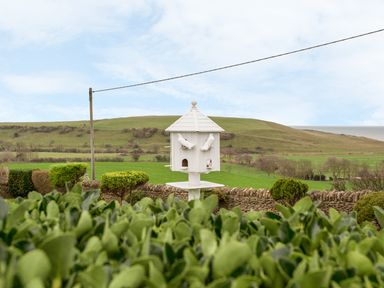 A white birdhouse on a pole with green bushes and a stone wall in front of a grassy hill in the countryside at The Doves in Burton Bradstock