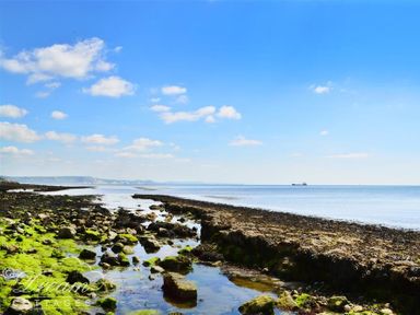 A rocky shoreline with green moss and calm sea under a blue sky at Harbour Edge in Brewers Quay Harbour