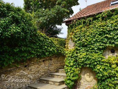 An outdoor stone staircase next to walls covered in green ivy at Fossil Barn in Weymouth