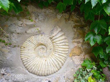 A fossil-shaped stone ornament embedded in a stone wall surrounded by green ivy leaves at Fossil Barn in Weymouth