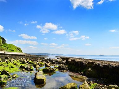 A rocky shore with green moss and water and a blue sky with clouds at Fossil Barn in Weymouth