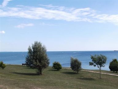 A grassy area with several trees and a bench overlooking a body of water at Georges House in Brewers Quay Harbour