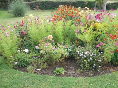 A flower bed with various colorful flowers and greenery in a garden setting at Grazeland Cottage in Bridport