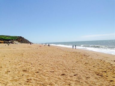 A sandy beach with a few people near the shoreline and cliffs in the background at Hillview Bungalow in Burton Bradstock
