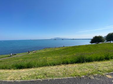 A grassy hill overlooking a body of water with a walkway and people near the shore at Hops House in Brewers Quay Harbour