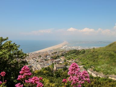 A coastal town with houses and a road near a beach with pink flowers and green hills in the foreground at Langham Cottage in Portland