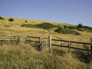 A hillside with a wooden fence and metal gate with vegetation at Leys At Valley View Farm in Uplyme