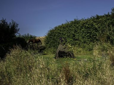 An outdoor scene with tall grass a hedgerow a wooden structure with flowers and a horse behind a wooden fence at Leys At Valley View Farm in Uplyme