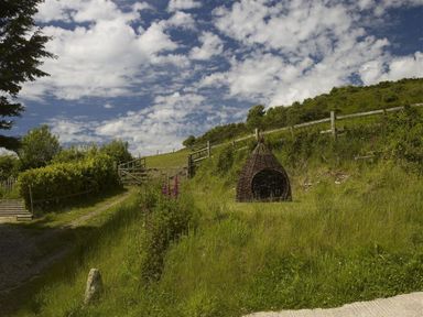 A grassy hillside with a wooden fence a dirt path and a woven wicker shelter at Leys At Valley View Farm in Uplyme