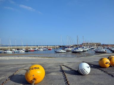 A harbor with boats docked and buoys on the ground near the water at Leys At Valley View Farm in Uplyme