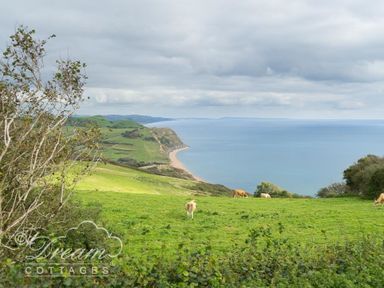 A coastal landscape with green fields cows and cliffs by the sea at Lilac Cottage in Burton Bradstock