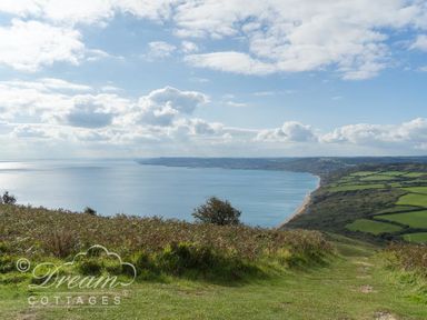 A coastal landscape with a grassy path leading to the sea and green fields on the right at Lilac Cottage in Burton Bradstock