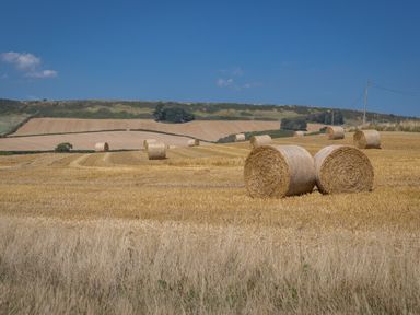 A field with hay bales under a clear sky at Little Forge in West Lulworth