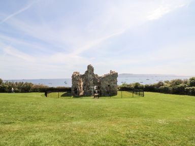 Ruins of a stone structure surrounded by a black fence on a grassy area near the sea with boats in the water at Cove Castle
