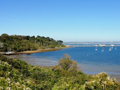 A coastal scene with trees on a hill a sandy shore boats on the water and buildings in the distance at Lookout in Cove Castle