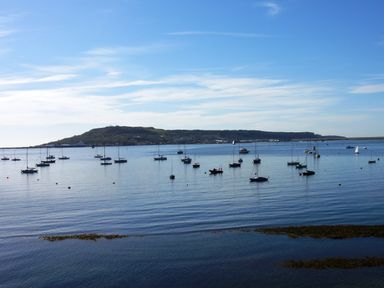 A body of water with multiple sailboats floating and a landmass in the background at Lookout in Cove Castle