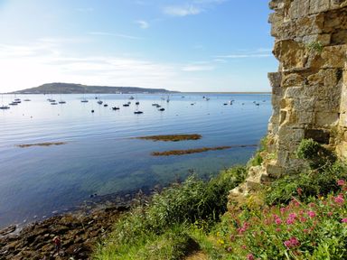 A coastal view with boats on calm water and a stone wall with flowers in the foreground at Lookout in Cove Castle