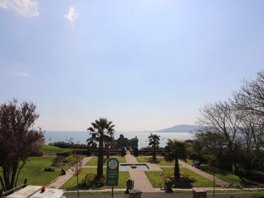 A formal garden with palm trees and pathways overlooking the sea and boats at Cove Castle