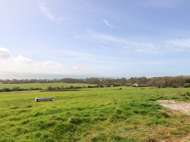 A grassy field with a water trough and a road in the distance with trees and the sea horizon at Magnolia Cottage Osmington