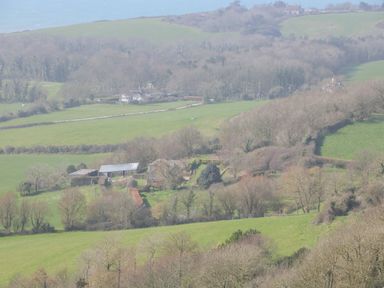 A rural landscape with fields trees and houses seen from a distance at Magnolia Cottage Osmington