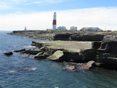 A coastal scene with a rocky shoreline and a lighthouse in the background at The Old Portland Courthouse in Portland