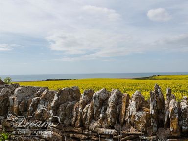 A stone wall with a yellow flowering field and the sea in the background at The Old Reading Room in Langton Herring