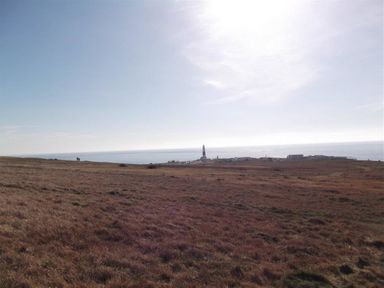 A coastal landscape with a lighthouse and buildings near the shore at Olympic Cottage in Portland
