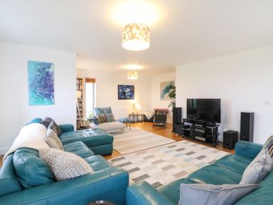A living room with teal leather sofas two rugs a flat screen TV on a stand and abstract wall art at Osprey House Portland