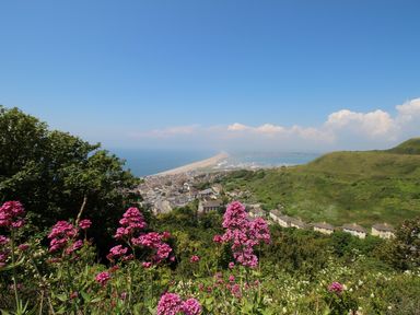 A coastal town with houses and hills and pink flowers in the foreground at Osprey House Portland