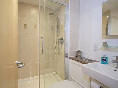 A shower area with glass doors next to a sink with a handwash at Estuary View in Kingsbridge