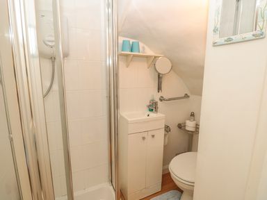 A small bathroom with a shower cubicle, a sink with a cabinet, a toilet, a wall shelf with cups, and a mirror at 14a Courtenay Street Salcombe