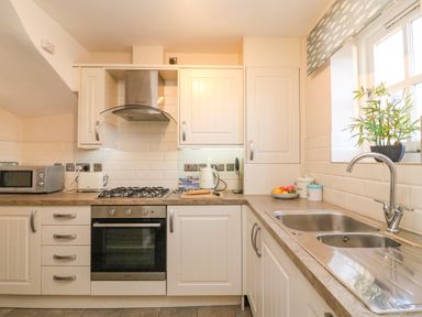 A kitchen with a gas stove oven microwave sink and a plant by the window at Reaver in Brewers Quay harbour