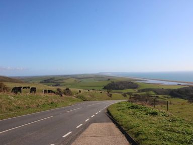 A road with fields and cows on the side overlooking the coastline at River Cottage in Burton Bradstock