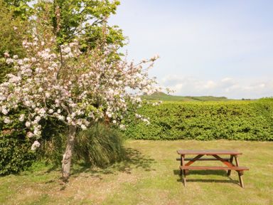A garden with a blossoming tree and a wooden picnic table near a hedge and grassy field at Shipton Hill View in Shipton Gorge