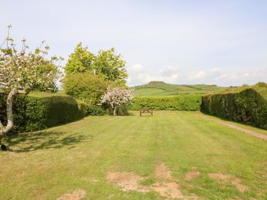 A garden with grass lawn a wooden bench flowering trees and hedges with hills in the distance at Shipton Hill View in Shipton Gorge