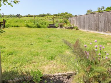 A garden with a lawn a wooden fence purple flowers and a small gate at Studland Cottage in Studland