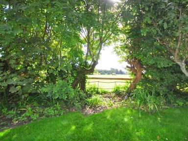 A garden area with green grass trees and a wooden fence looking out to a field with a horse at Warmwell Lodge in Warmwell