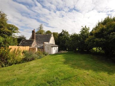 A grassy backyard with trees and shrubs around a house at Warmwell Lodge in Warmwell