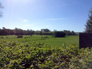 A green field with trees horses and a small wooden shelter under a clear blue sky at Warmwell Lodge in Warmwell