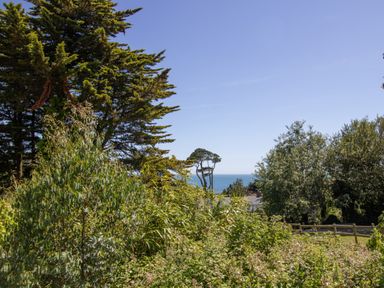 A view of trees and bushes with the sea in the background at Waterson in Osmington