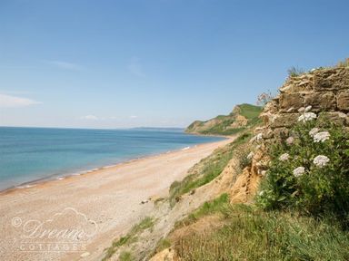 A beach with a cliffside and wildflowers by the water at The Wave in Eype