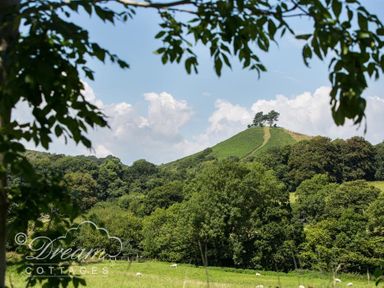 A green hill with trees at the top surrounded by other trees and grassland with sheep in a valley at The Wave in Eype